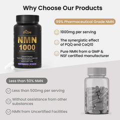 Syloni NMN packaging with GMP seal, signaling clean manufacturing standards.
