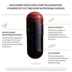 Synchro Rejuve biohyaluronic complex visual suggesting joint lubrication support.