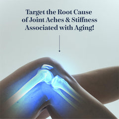 Synocell recovery scene shows active living after supplementation.