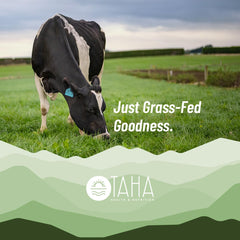Taha Health & Nutrition versatile protein for shakes, oats, and recipes.