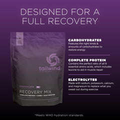 Tailwind Nutrition Recovery Mix strawberry glass with hydration-ready texture