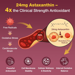 Talyvoriathor astaxanthin 24mg softgels highlights antioxidant-rich formula for vascular protection