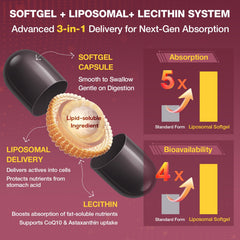 Talyvoriathor softgels closeup showing easy-to-swallow capsules