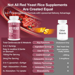 Talyvoriathor niacin folate metabolic-softgels emphasize energy and methylation support