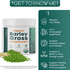 Teaveli barley grass juice powder container close-up showing vibrant green color and purity.