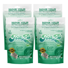 TeaZa Wintergreen Chill pouch close-up for convenient tobacco-free snacking on the go