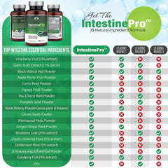Teraputics IntestinePro capsules close-up showing veggie capsules for daily use