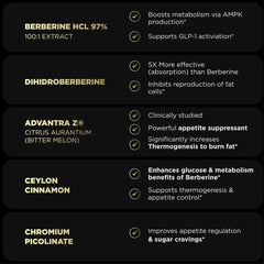 Terra Elmnt Dihydroberberine ingredient graphic emphasizing absorption benefits.