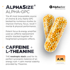 Terra Elmnt GABA and Apigenin capsule highlights evening mood and relaxation support