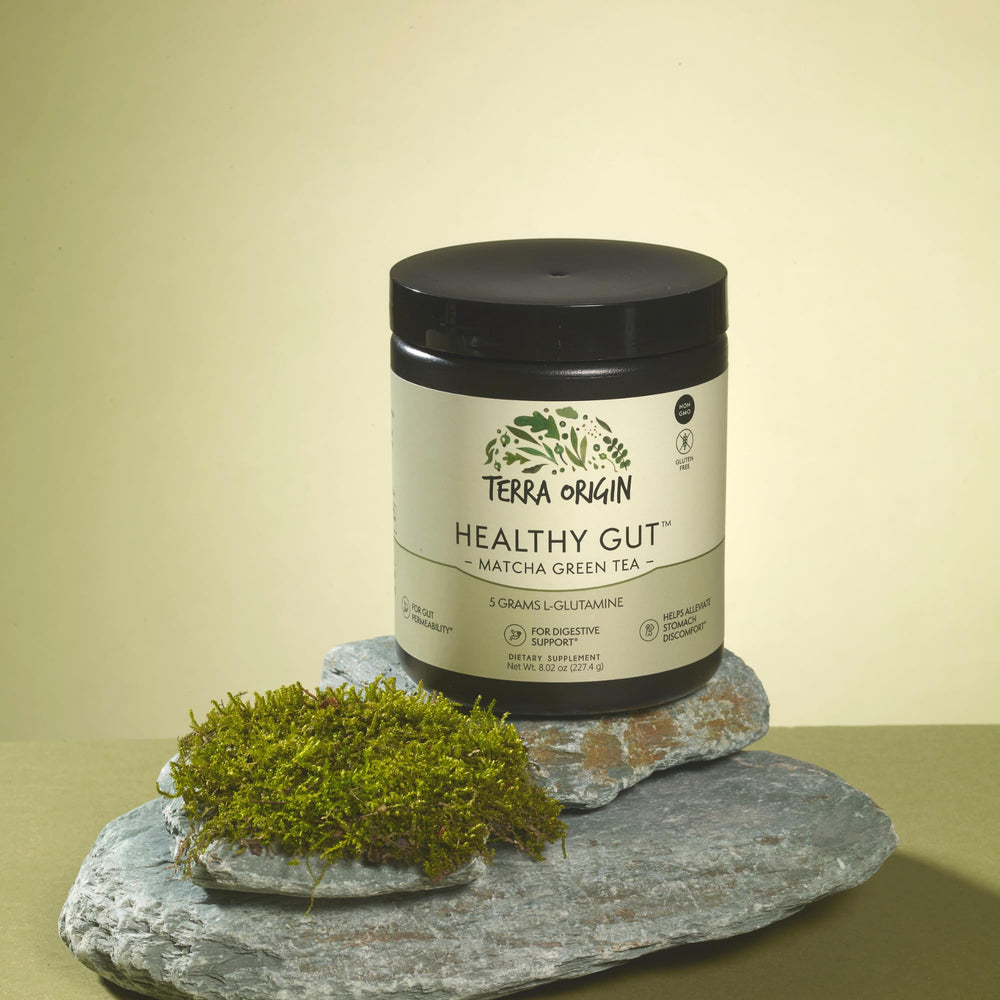 Terra Origin Healthy Gut Matcha scoop-closeup highlights L-Glutamine and Zinc.
