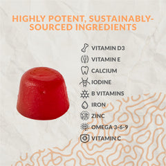 Terraseed cherry-orange flavored gummies indicating tasty daily routine
