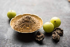 Terrasoul Amla Powder with lab-tested seal for purity and potency.
