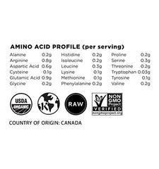 Terrasoul hemp protein powder texture close-up, smooth and easy to mix