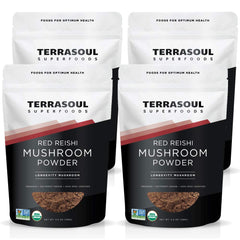 Terrasoul Superfoods Reishi 4:1 extract powder packaging for daily use