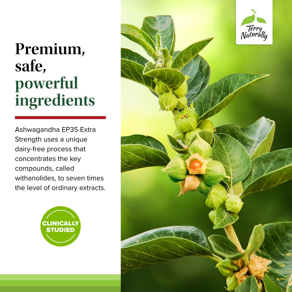 Terry Naturally Ashwagandha EP35 daily routine shot suggests easy use.