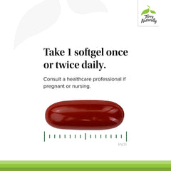 Terry Naturally BosMed 500 packaging box view communicates supplement purpose.
