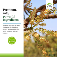 BosMed packaging emphasizes allergen-friendly, gluten-free formulation