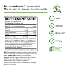 Terry Naturally Curamin capsules close-up emphasizing BCM-95 curcumin for joints