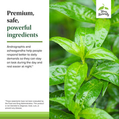 Terry Naturally packaged-supplement-box communicates high quality and clean ingredients.