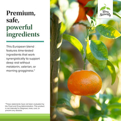 Terrific Zzzz mandarin visual showing citrus soothing cue for sleep.