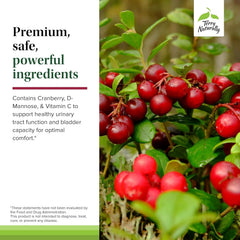 Ingredient list reveals cranberry, d-mannose, and vitamin C in Terry Naturally Urinary Tract Intensive Support.