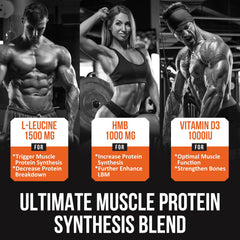 Key ingredients like leucine, HMB, and vitamin D3 with Thalacy PA formula.