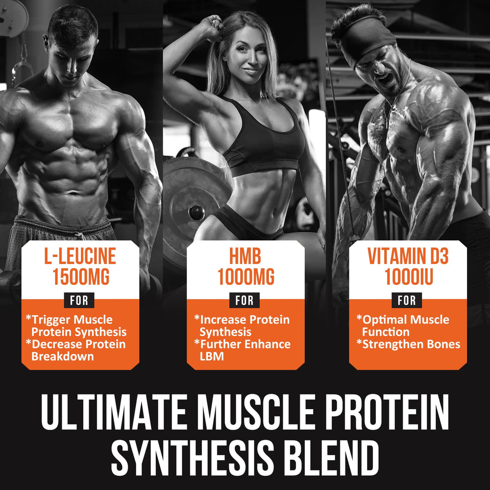 Thalacy muscle-building graph motif implies potential gains with targeted protein synthesis support.