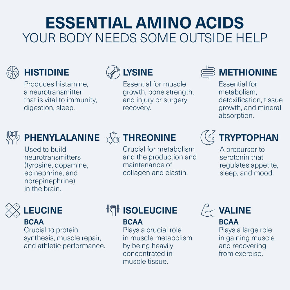 The Amino CO Purity kidney and liver support graphic for overall wellness