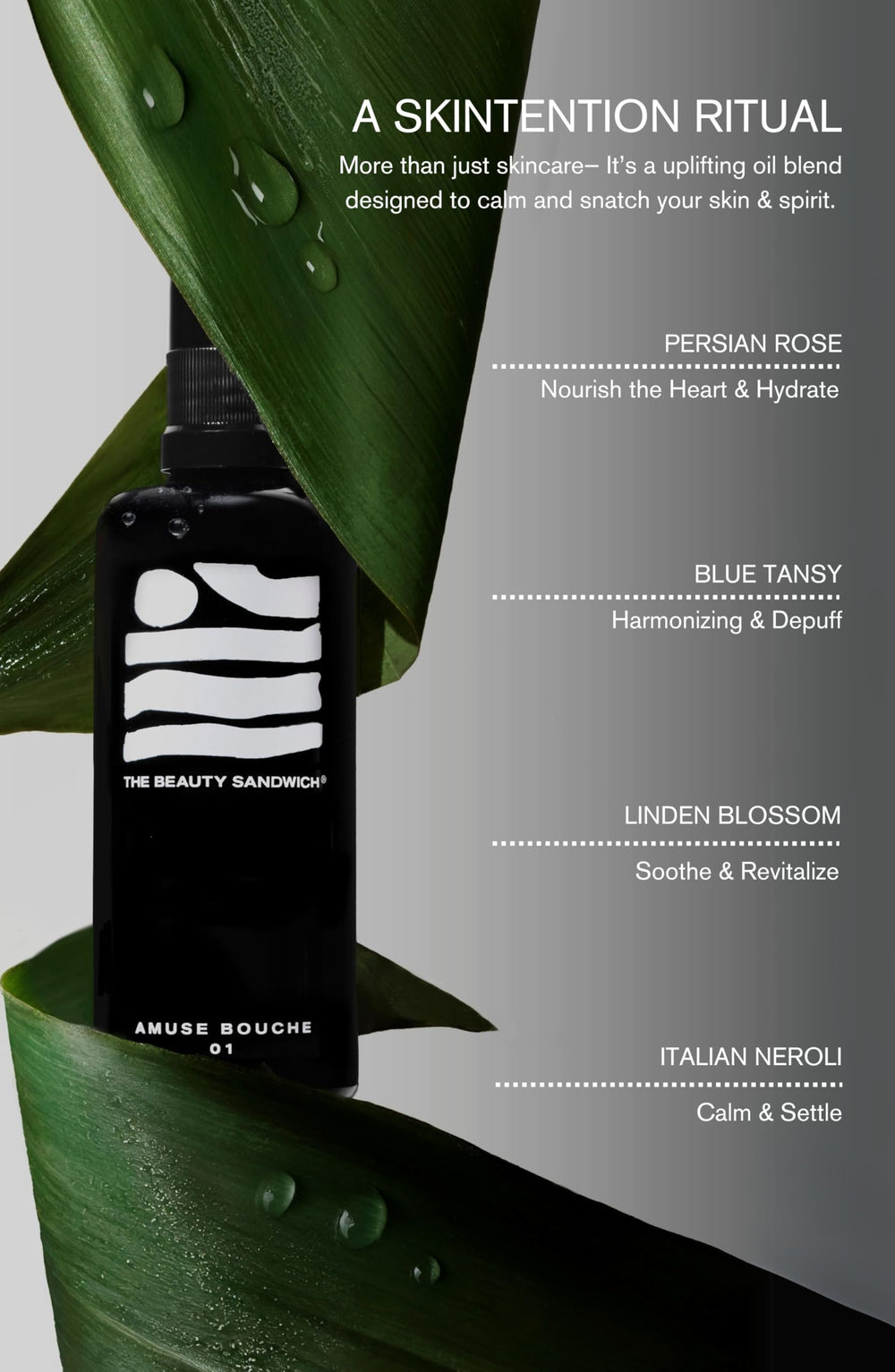 The Beauty Sandwich Amuse Bouche bamboo-texture aims to tighten pores and illuminate skin.
