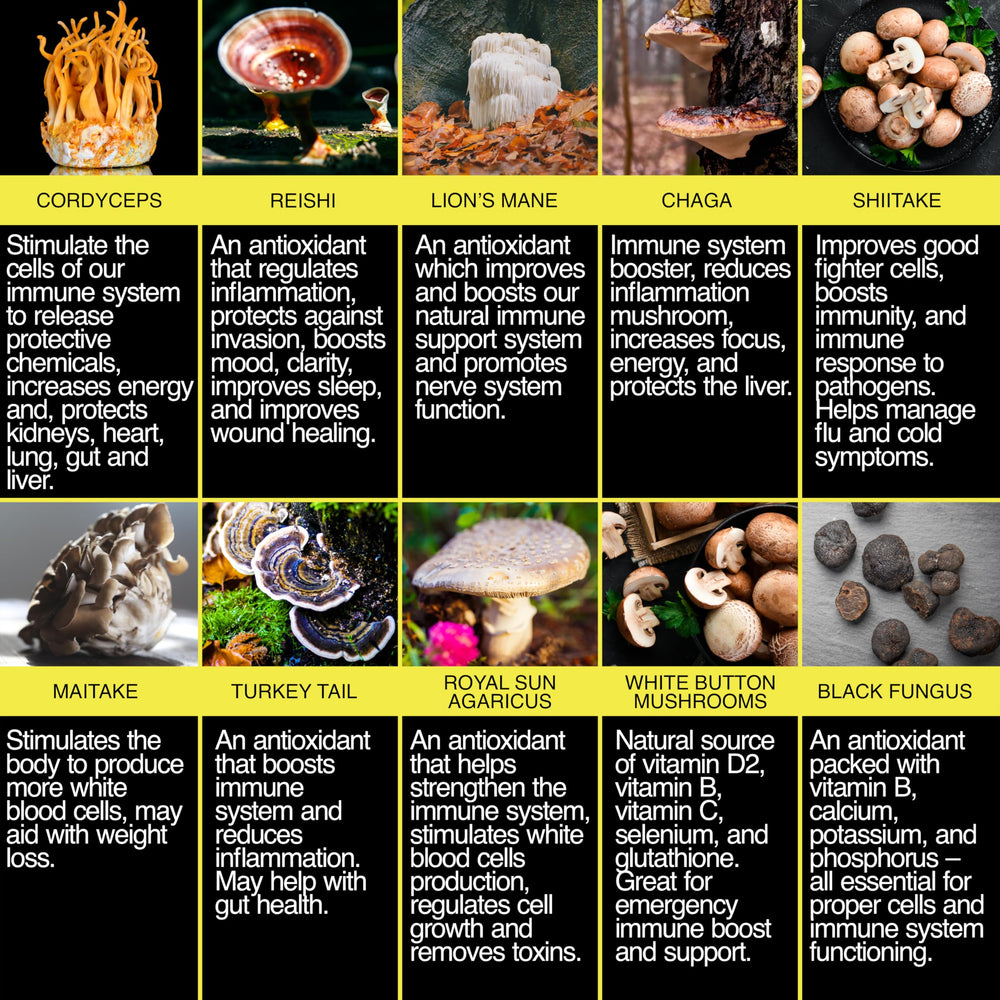The Enclare Nutrition Mushroom 10in1 bottle — vegan, gluten-free packaging emphasis.