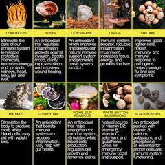 The Enclare Nutrition Mushroom 10in1 bottle — vegan, gluten-free packaging emphasis.