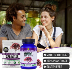 The Food Movement Co Sea Moss Powder in smoothie detox friendly and nutrient dense