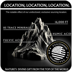 THE GOLD Shilajit Resin measuring scoop for consistent servings
