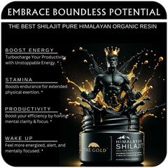 THE GOLD Shilajit Resin origin from high-altitude Himalayas signaling premium quality