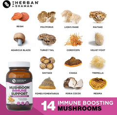 The Herban Shaman capsule tray with shiitake and cordyceps, rich in polysaccharides.