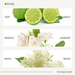 Bergamot and ocean spirit notes evoke a fresh, uplifting scent in The Magic Scent oil.