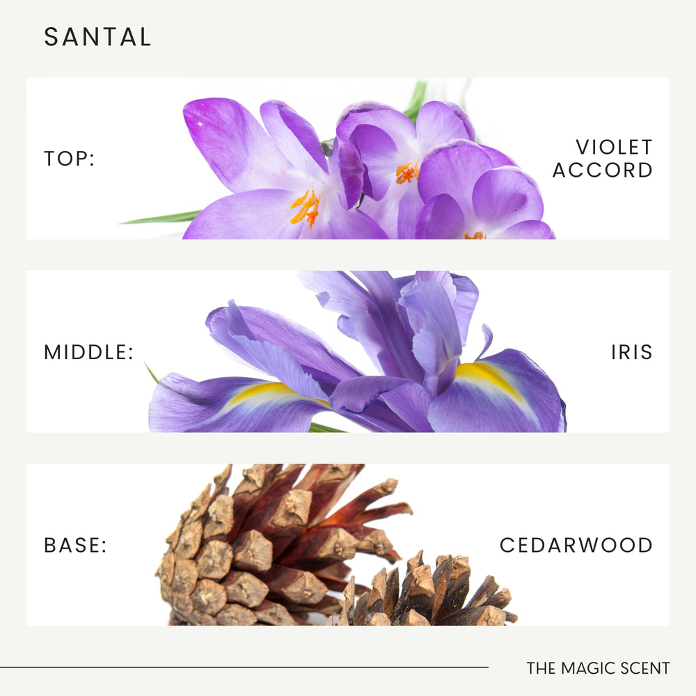 The Magic Scent Santal oil with a wooden cap evokes hotel-inspired elegance.