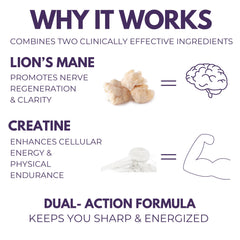 The Mushroom Society Lion’s Mane Extra daily routine flatlay supports focused work