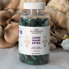 The Mushroom Society Lion’s Mane Extra packaging flatlay on a clean desk