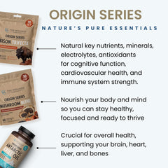Chaga, cordyceps, and turkey tail ingredients in The Wellness Company Mushroom Blend for balanced energy.
