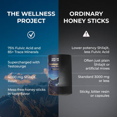 The Wellness Project Himalayan Shilajit Honey Sticks Pro lab testing certificate for purity