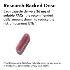 Theralogix TheraCran One cranberry capsules label reveals 36 mg PACs per capsule.
