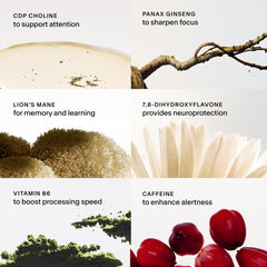 Thesis Clarity label detail showing Lions Mane and caffeine content for cognitive support