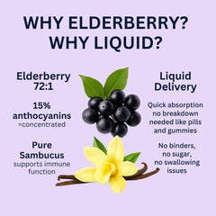 Think Above Elderberry Liquid Drops vanilla infusion for plant-based immune support