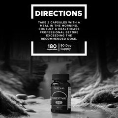 Thrival Digestival scene depicting a routine for digestive health and comfort.