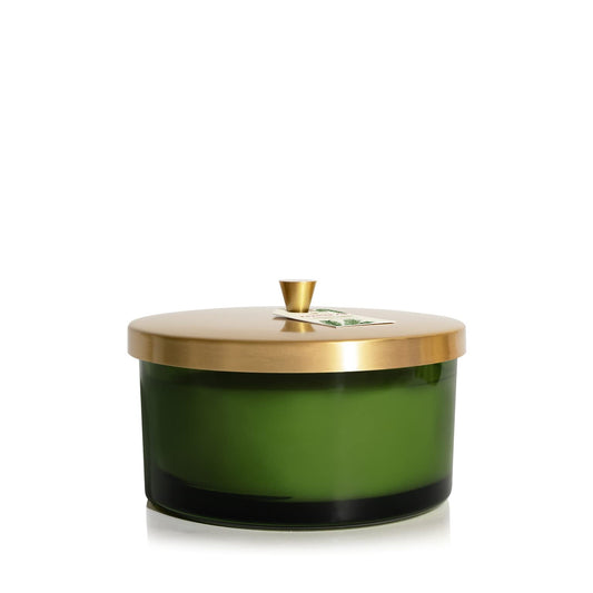 Thymes Frasier Fir candle with green glass vessel for cozy ambiance.