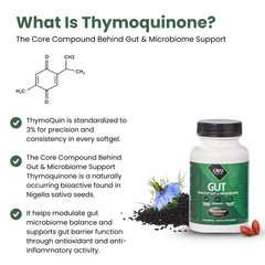 Lifestyle scene suggesting daily routine with ThymoQuin for gut comfort