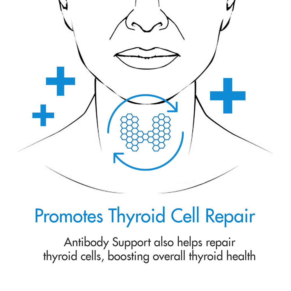 Thyroid Specific Formulations Antibody Support bottle on shelf suggests everyday wellness.