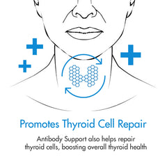 Thyroid Specific Formulations Antibody Support bottle on shelf suggests everyday wellness.