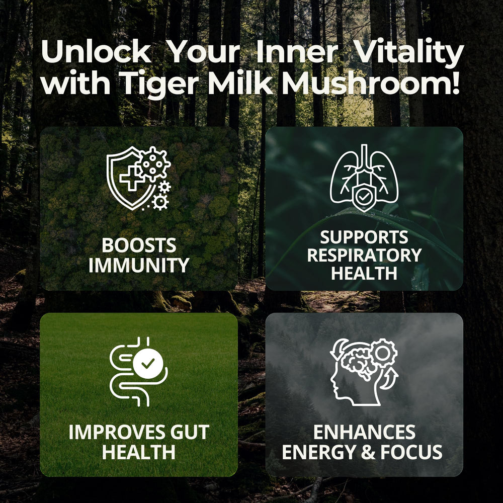 Tigerus Tiger Milk Mushroom capsule closeup emphasizes vegan, non-GMO formula.
